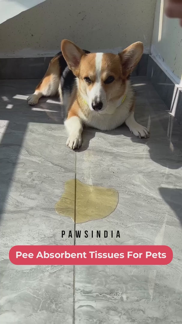 Pawsindia Pet Pee Pads for Dogs & Cats | Triple Layer Leak-Proof Training Pads | Super Absorbent | Odor Control | Disposable Pee Tissue | 30 PCS (30 x 40 cm)