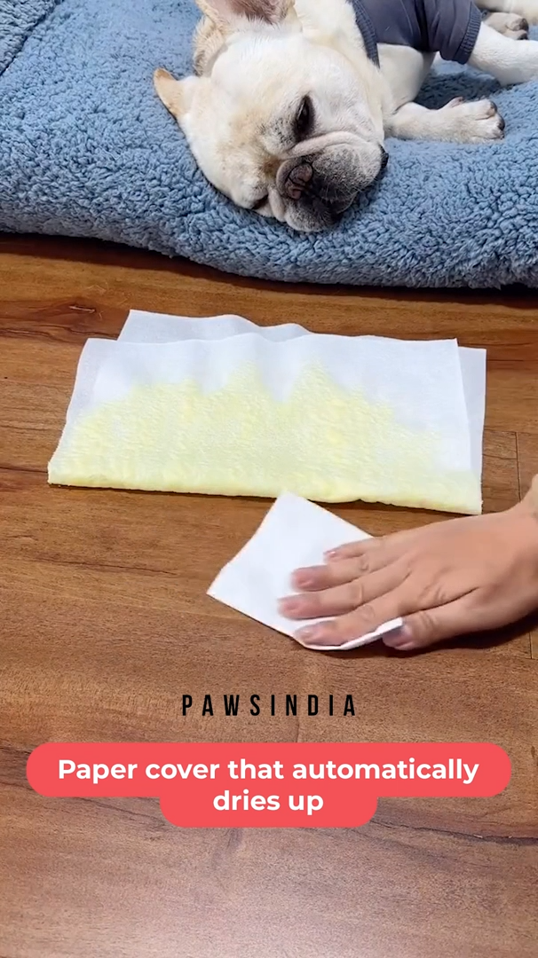 Pawsindia Pet Pee Pads for Dogs & Cats | Triple Layer Leak-Proof Training Pads | Super Absorbent | Odor Control | Disposable Pee Tissue | 30 PCS (30 x 40 cm)